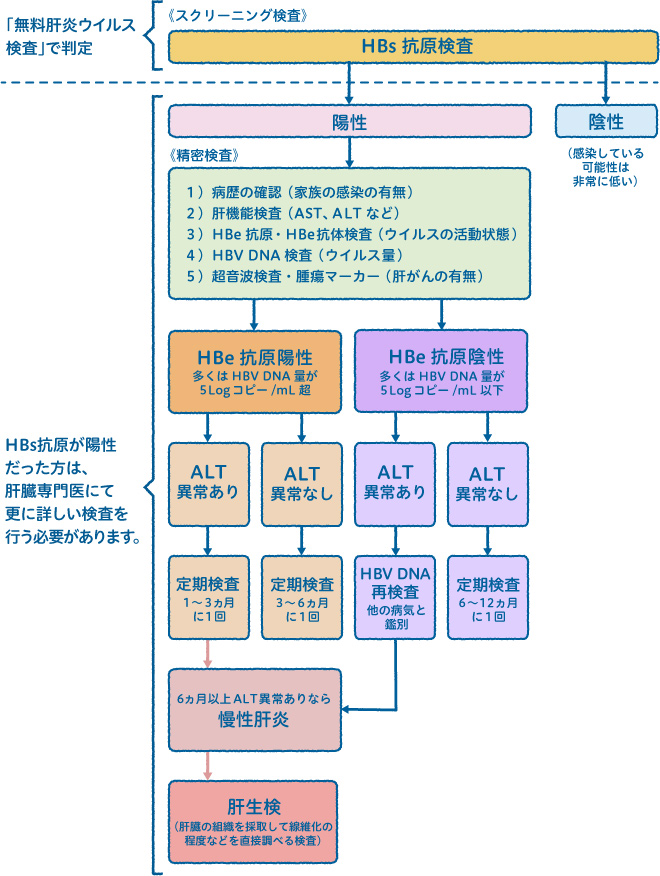 B型肝炎の診断