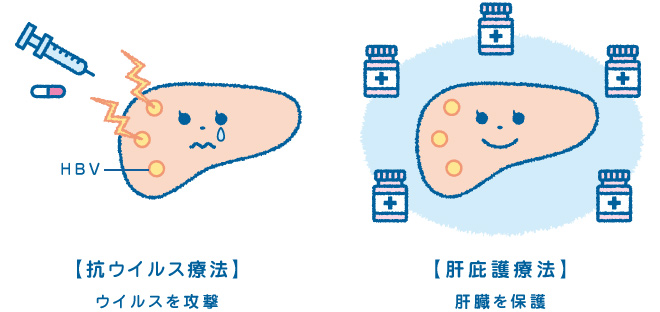 抗ウイルス療法と肝庇護療法