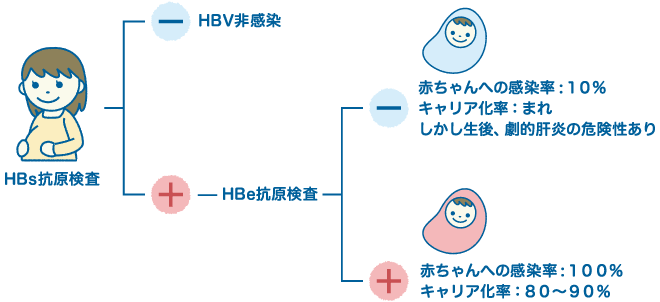 キャリアの人の出産(母子感染防止策をとらなかった場合)